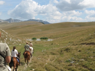 Randonnee equestre nature